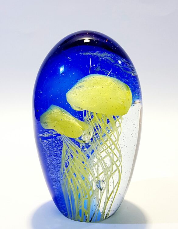 Acquario medusa gialla